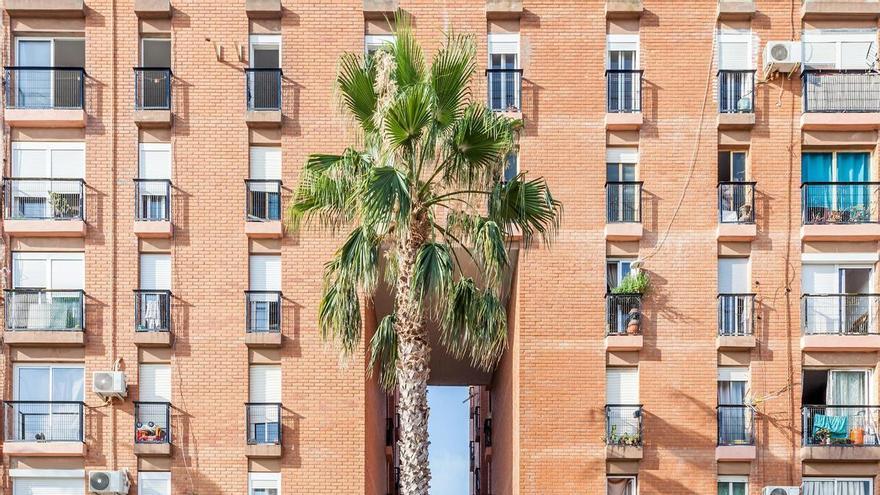 De apenas 2.200 a casi 194.000 euros: la riqueza de los propietarios multiplica por 90 la de los inquilinos