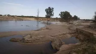 La CHJ estima que el Magro superó en Guadassuar la punta de caudal del Poyo y l’Horteta en Torrent