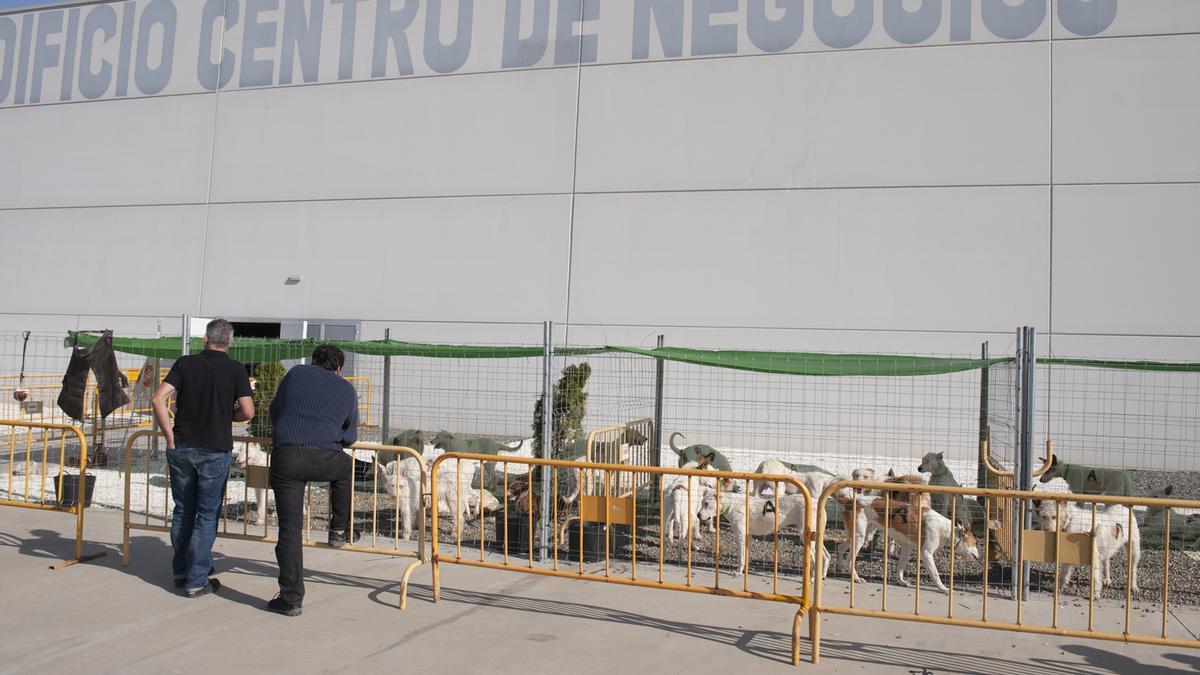 Perros a las puertas del recinto ferial del Centro de Negocios en una edicion de la Feria de Caza y Pesca.