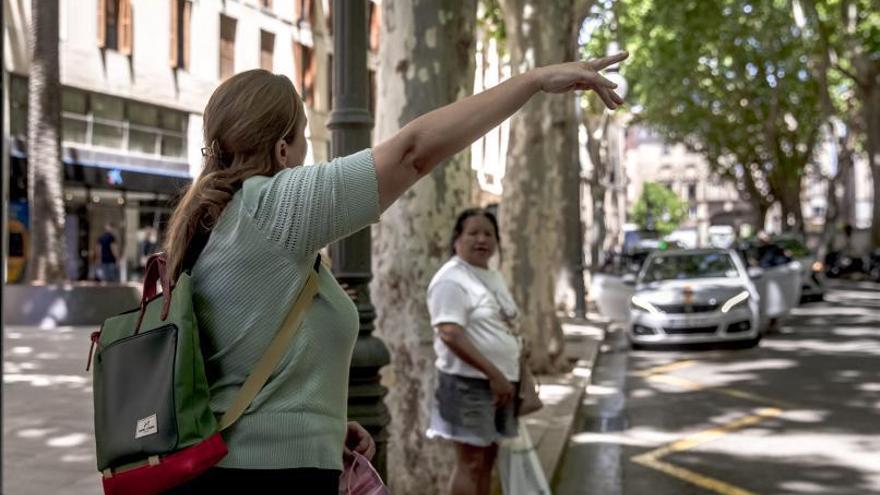 El taxi prevé una «masacre» tras el duro examen para obtener su carné