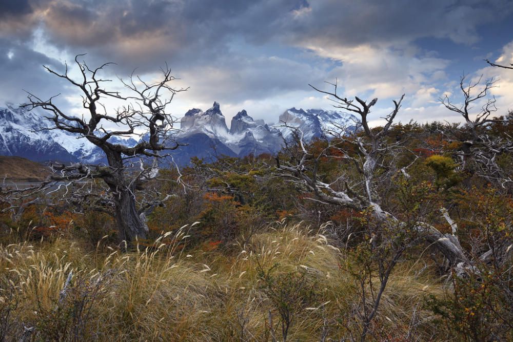 "Los Cuernos del Paine"