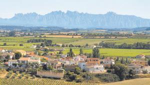 El Penedès con las montañas de Montserrat al fondo