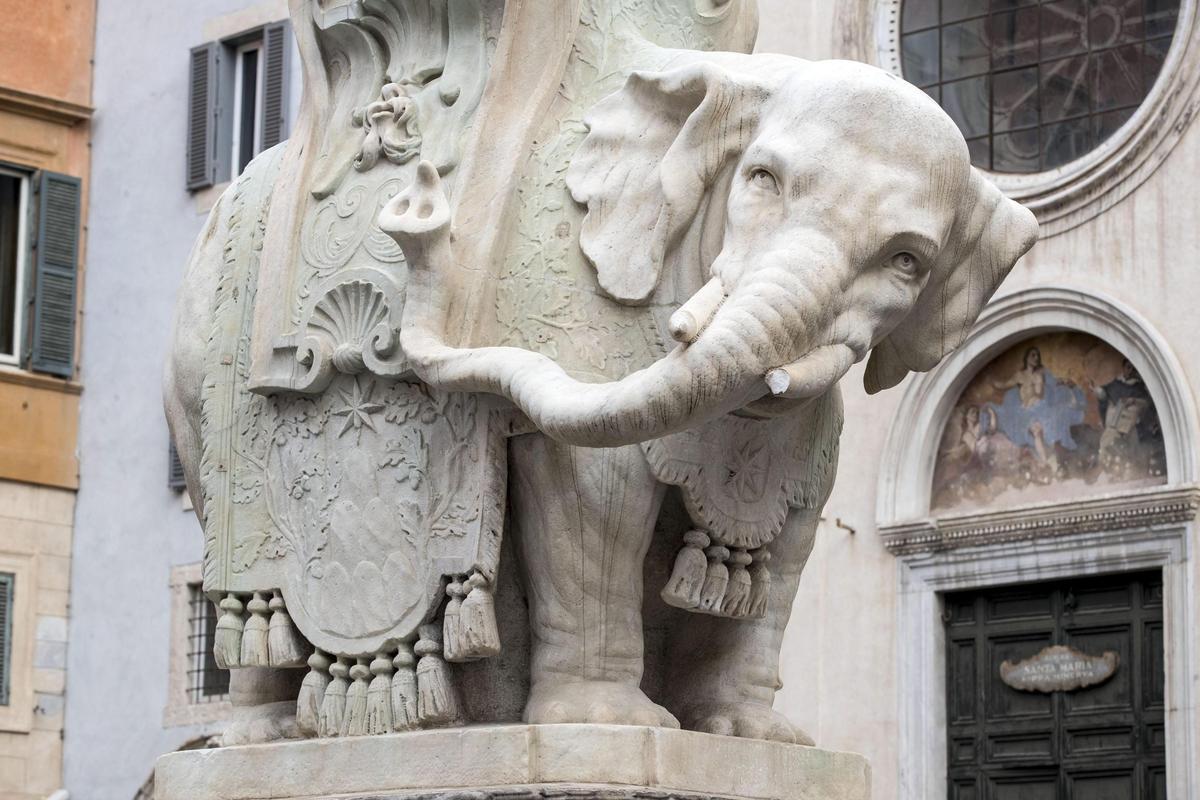 El elefante de Bernini, con el colmillo roto.