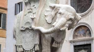 El elefante de Bernini, con el colmillo roto. | efeCA03 ROMA (ITALIA) 14/11/2016.- Detalle de la estatua del elefante de Gian Lorenzo Bernini en la plaza Minerva en Roma (Italia) hoy, 14 de noviembre de 2016. La escultura del elefante sobre el que se posa un obelisco realizada en 1667 por el maestro del barroco italiano Gian Lorenzo Bernini y que se encuentra en la Plaza de la Minerva en Roma apareció esta mañana sin un colmillo. El fragmento fue arrancado y apareció a los pies de la famosa escultura barroca, según confirmó Nathalie Naim, asesora del municipio del centro histórico de Roma, que colgó en su página de la red social Facebook algunas fotos del destrozo. EFE/Massimo Percossi ARRANCAN UN COLMILLO DE LA ESTATUA DEL ELEFANTE DE BERNINI EN ROMA