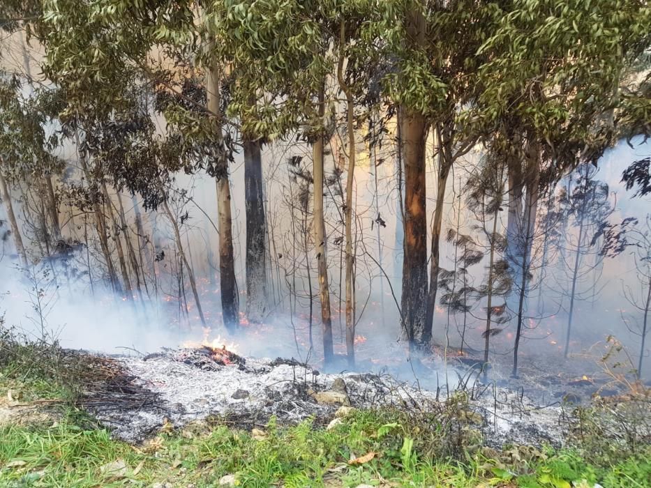 El fuego arrasa en Rianxo más de 850 hectáreas