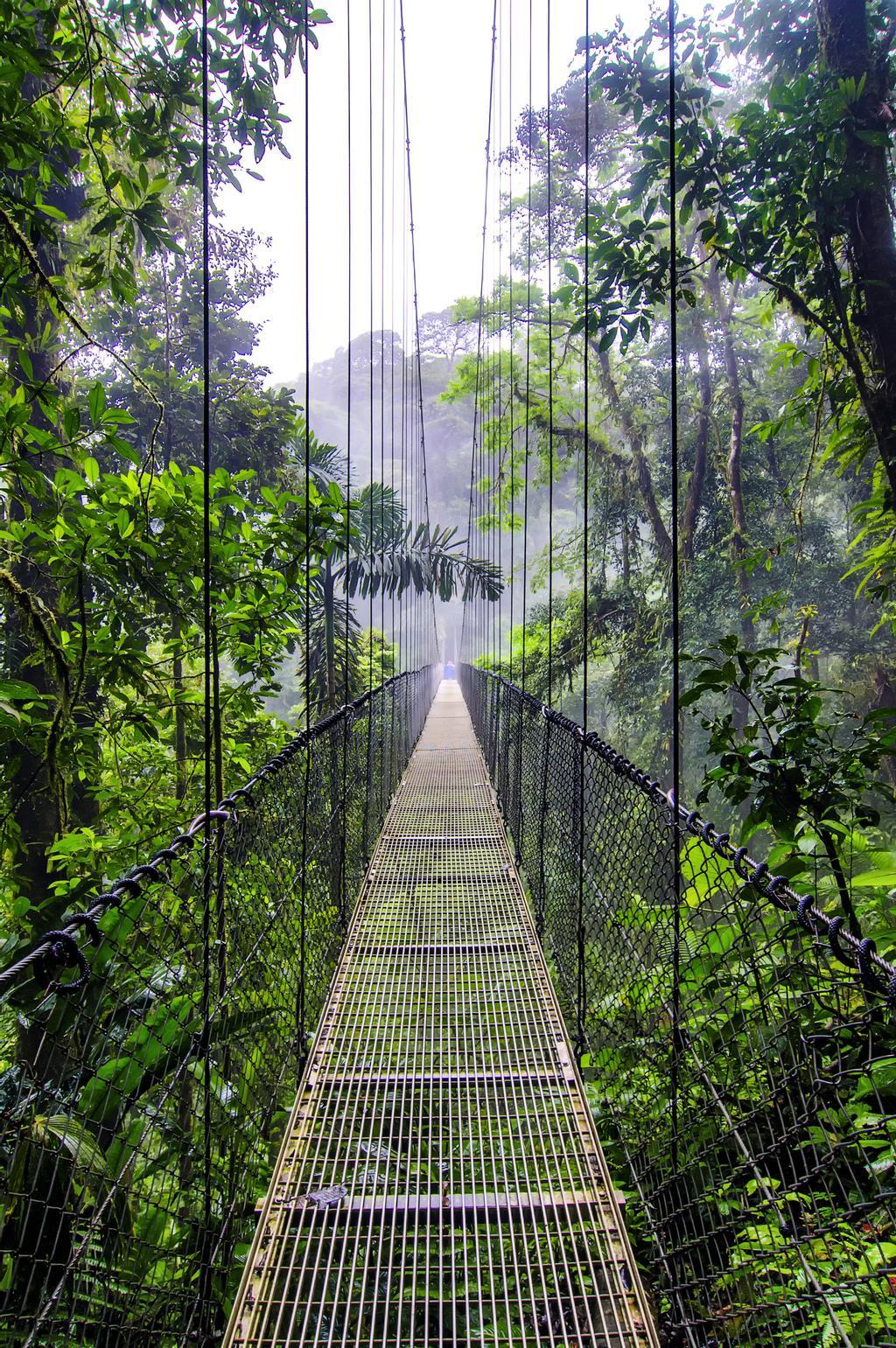 Puente colgante sobre el volcán Arenal en La Fortuna