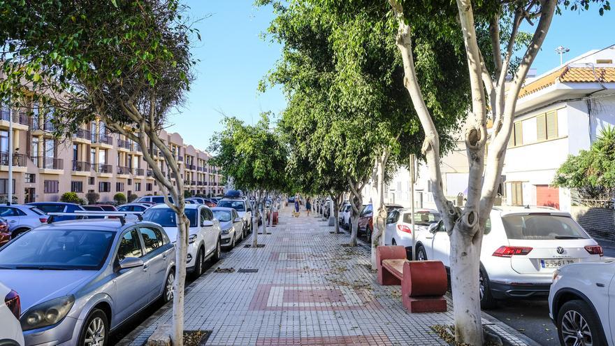 VÍDEO | Telde presenta como quedará la arboleda de Salinetas