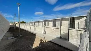 Torrevieja indemniza con 13.597 euros a la dueña de un perro que murió atacado por otro en el albergue municipal