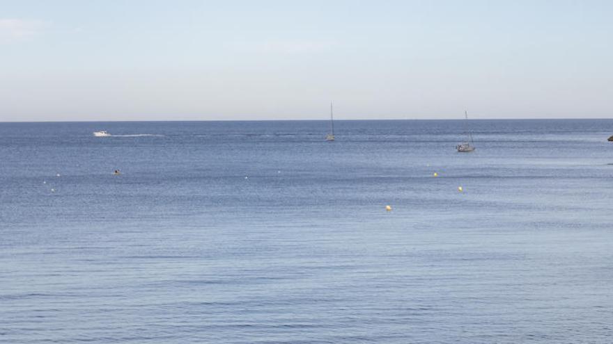 Boyas ecológicas en la playa de l&#039;Albir para cuidar la posidonia oceánica