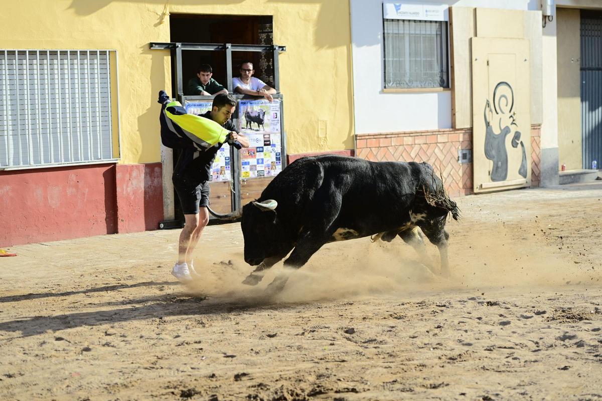 La peña El 22 patrocinó la exhibición de un toro de Luis Algarra.