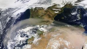 Polvo africano en Catalunya en julio