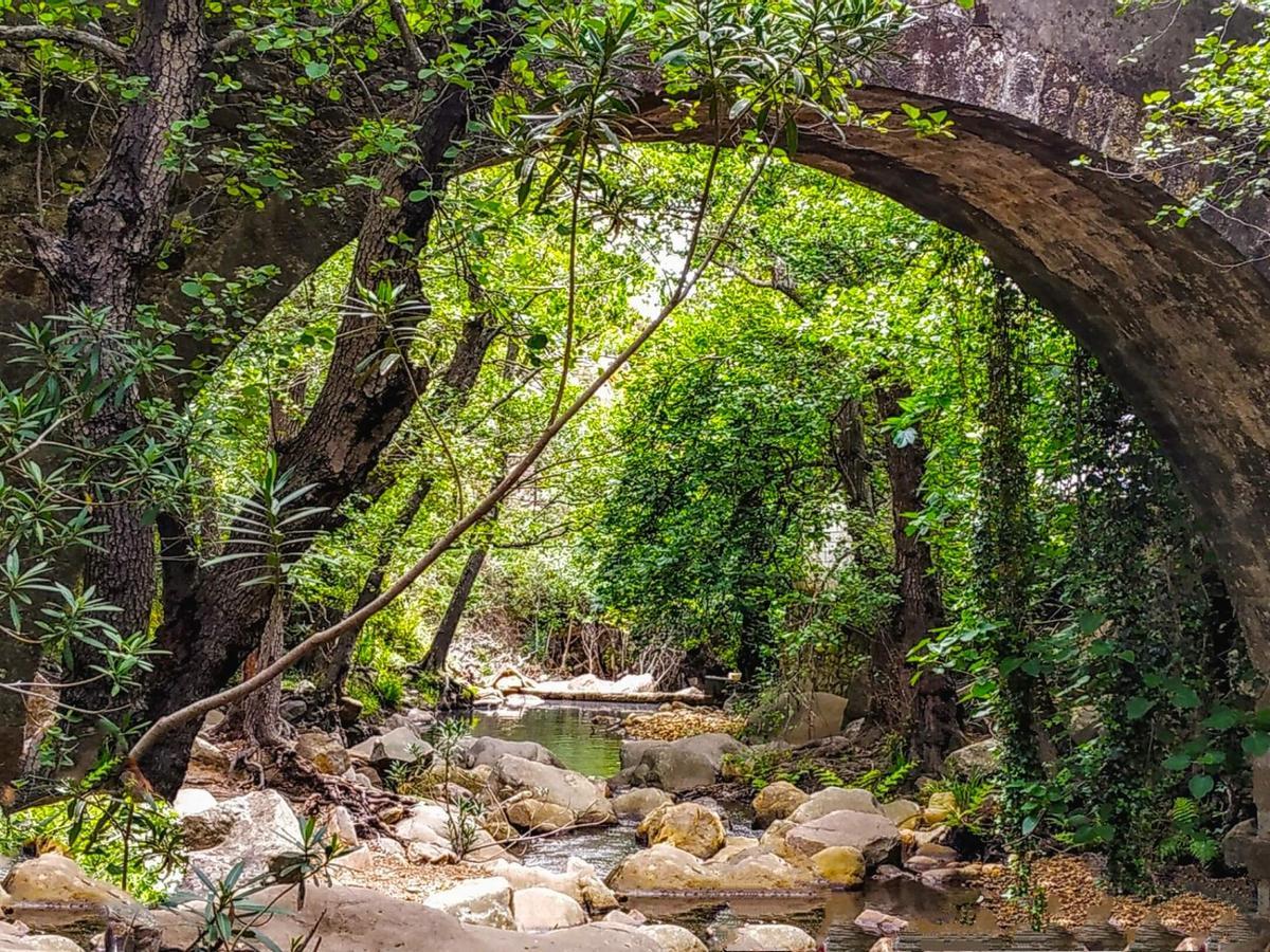 Sendero el río de la miel, la ruta acuática de Cádiz que recorre cascadas, selvas tropicales y ruinas de antiguos molinos