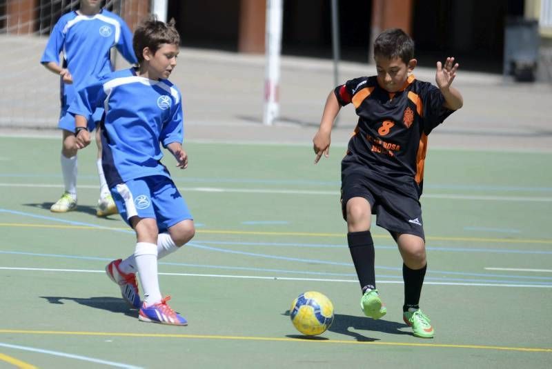 FÚTBOL: Rosa Molas - Pirineos B (Benjamin Superserie)