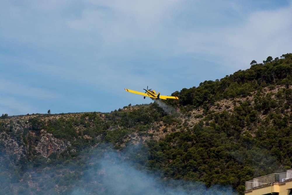 Am Freitag (5.8.) kurz nach 11 Uhr wurde ein Feuer im Gebiet von Sant Agustí im Stadtbezirk von Palma gemeldet. Der Brand war gegen 12.30 Uhr unter Kontrolle, nachdem er eine Fläche von 0,7 Hektar Kiefernwald zerstört hatte.