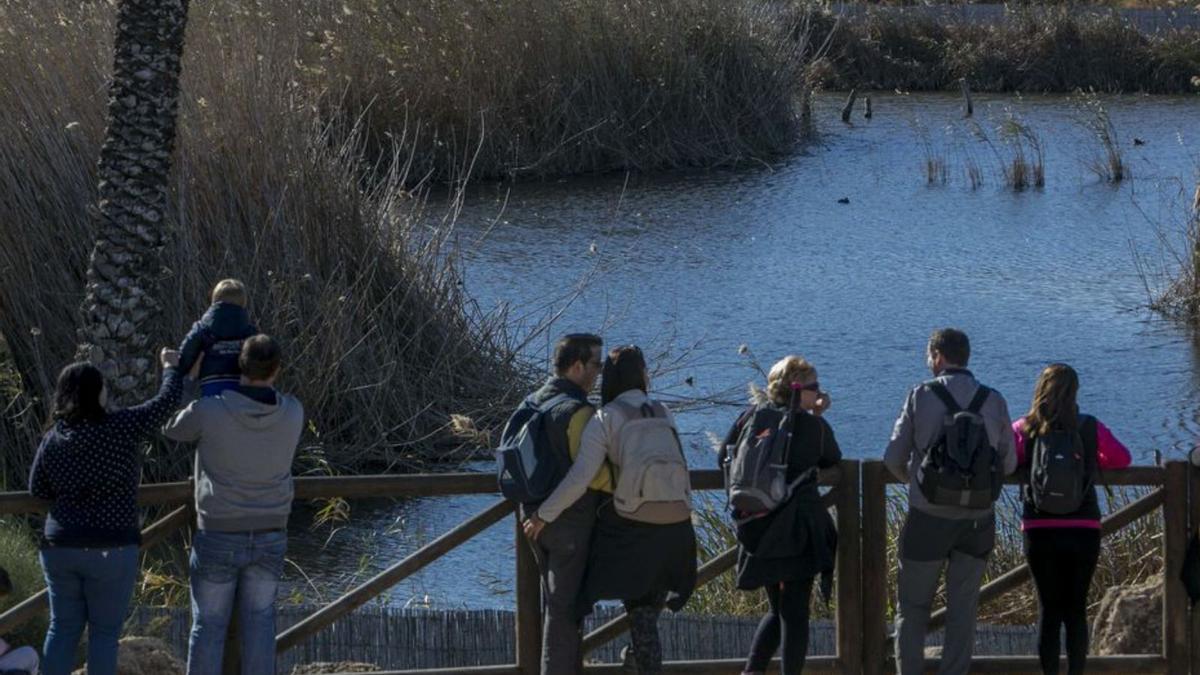 El nacimiento de un apacible oasis 