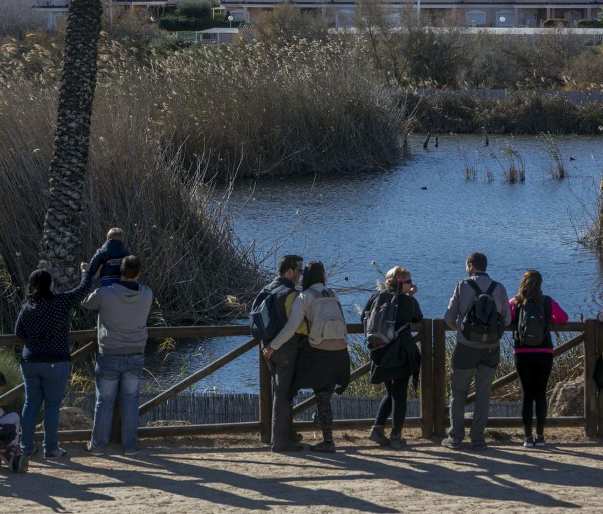 El nacimiento de un apacible oasis
