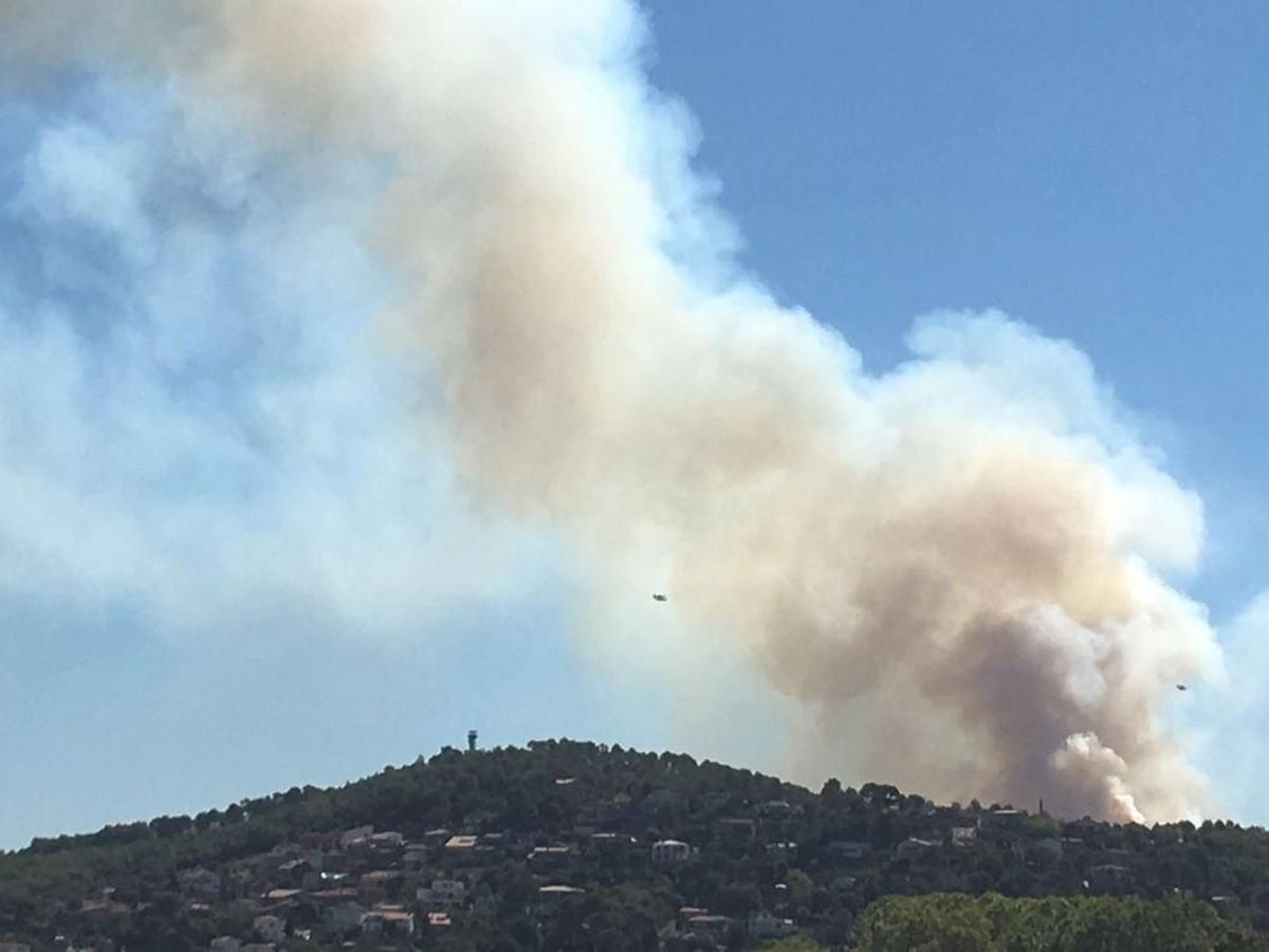 collserola1