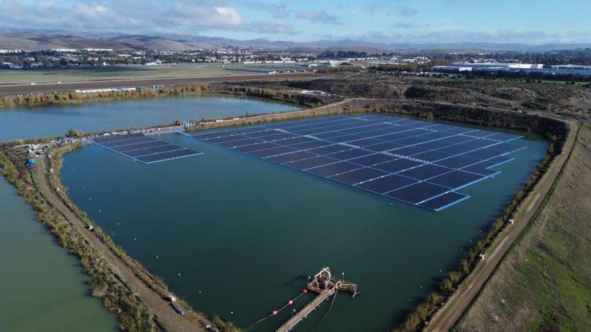 Otra vista de la planta.