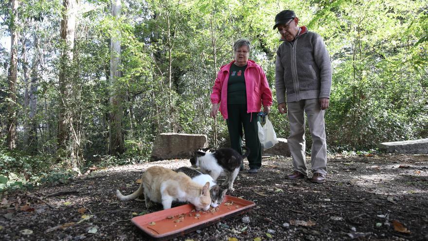 Loli y Juan, una vida para los gatos