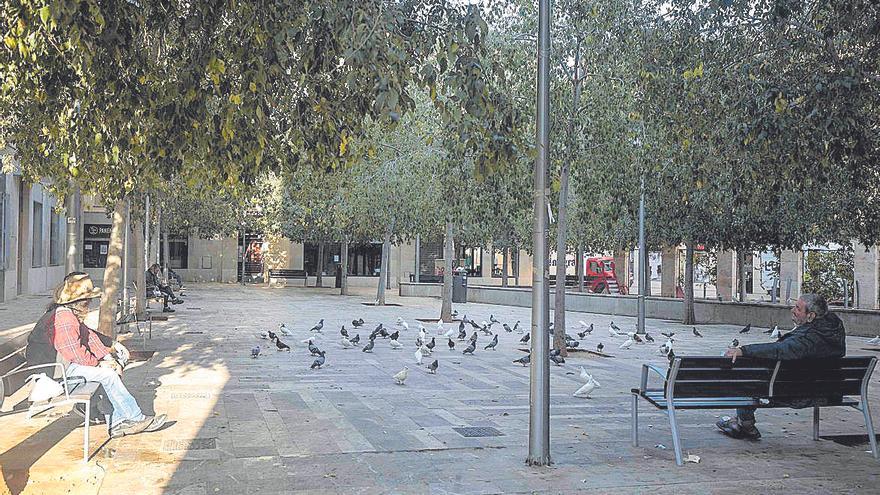 Plaza Nova Ferreria.