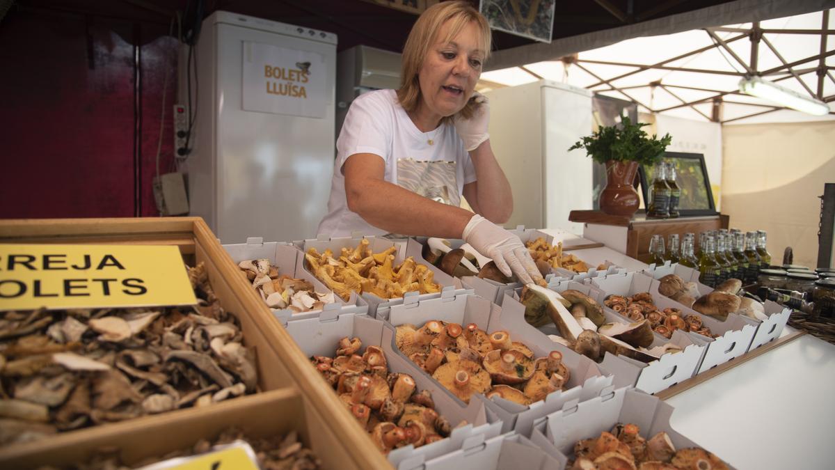 Parada de bolets al mercat de Cal Rosal