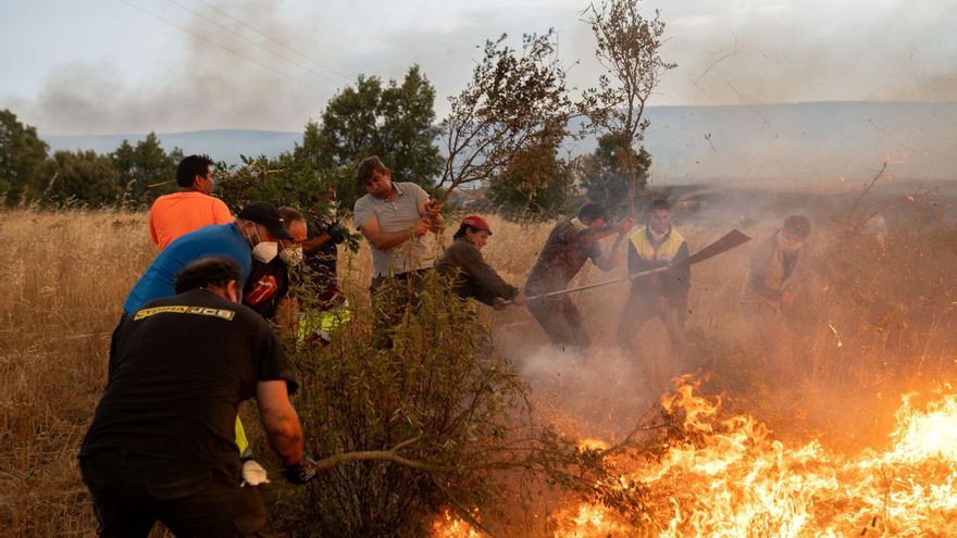 Onada d&#039;incendis a Espanya: 14 focs actius en 7 comunitats, diversos d&#039;ells, intencionats