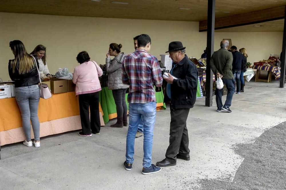 Mercado de berros a 1 euro en Ingenio