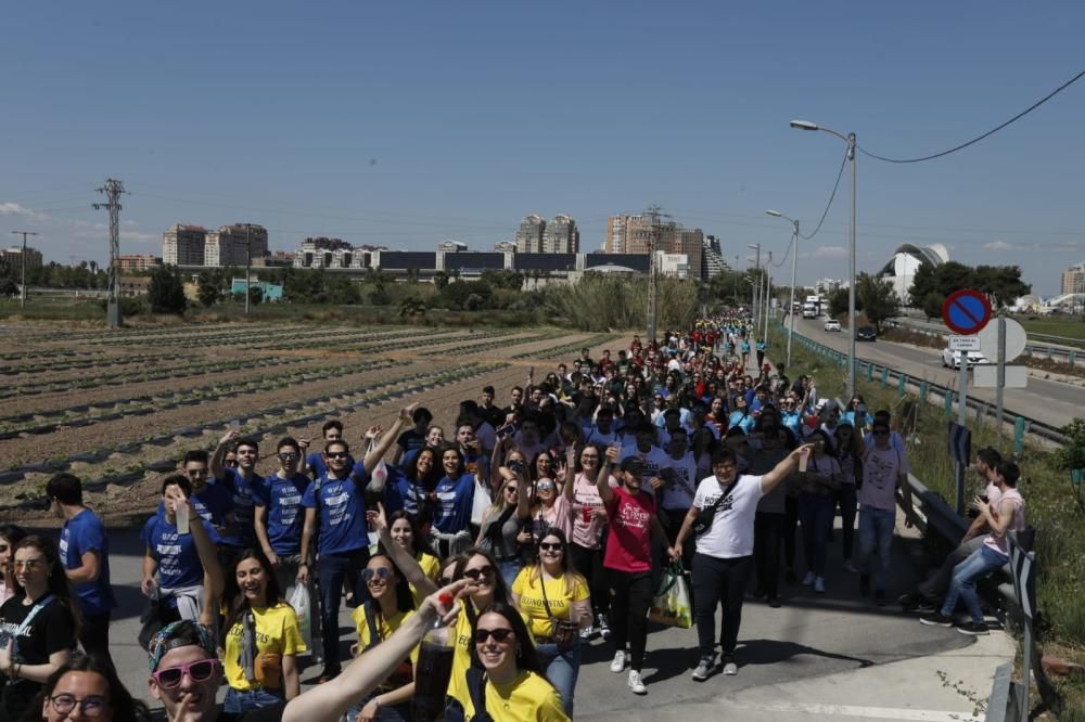 Paellas universitarias 2019 en València