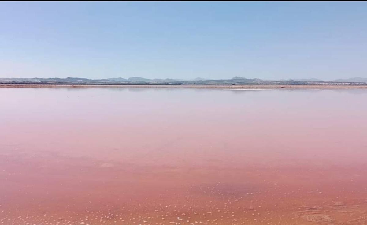 Salinas de Santa Pola