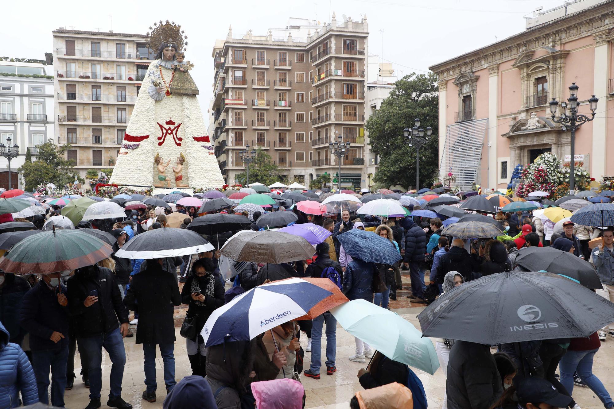 Cientos de personas se acercan a visitar el manto de la Virgen