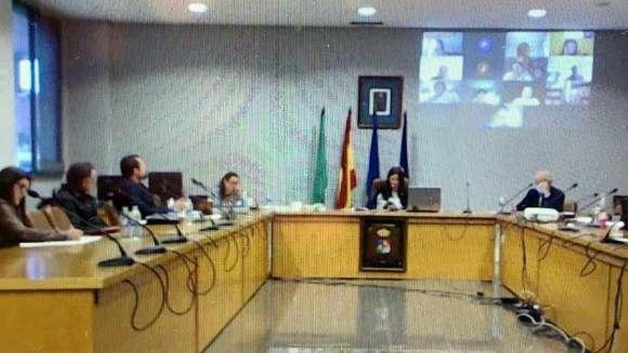 Un momento del Pleno de ayer, con concejales presentes y otros participando en la sesión de forma telemática.