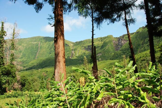 Paisaje en la isla Flores (Islas Azores)