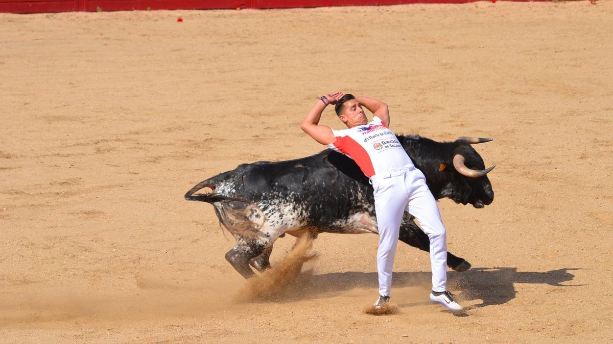 Alain Huerga en un concurso de cortes en Benavente. / E. P.