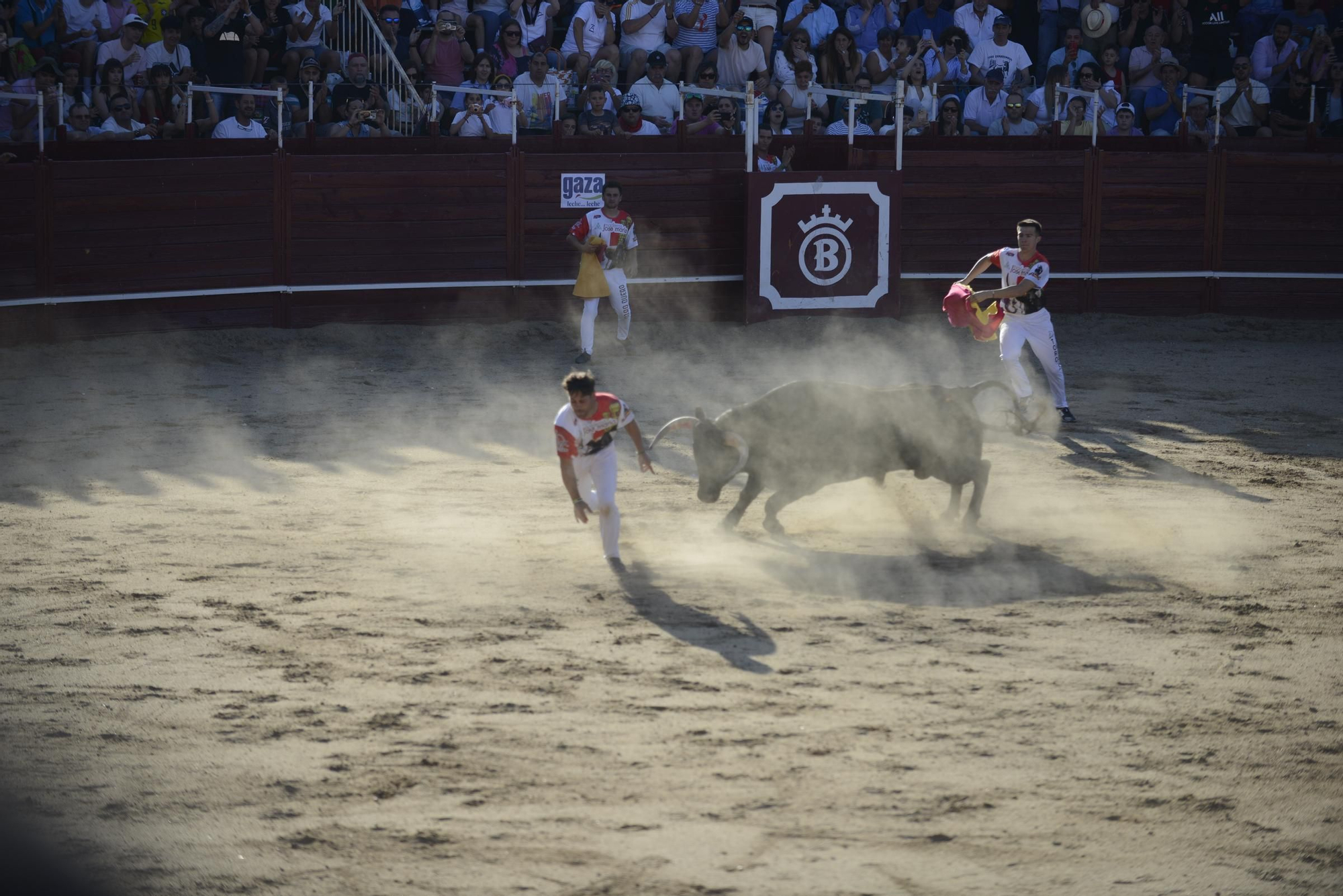 GALERÍA | Unos cuantos cortes de los arriesgados en Benavente