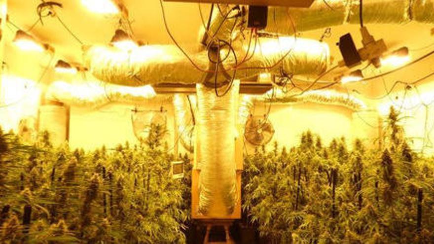 Dos detinguts per cultivar marihuana en una masia de Lloret de Mar