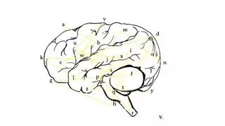 Nuevas tecnologías para entender nuestro cerebro