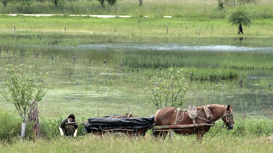 Otro parque de baterías que se rechaza en Asturias: vecinos y ecologistas, satisfechos