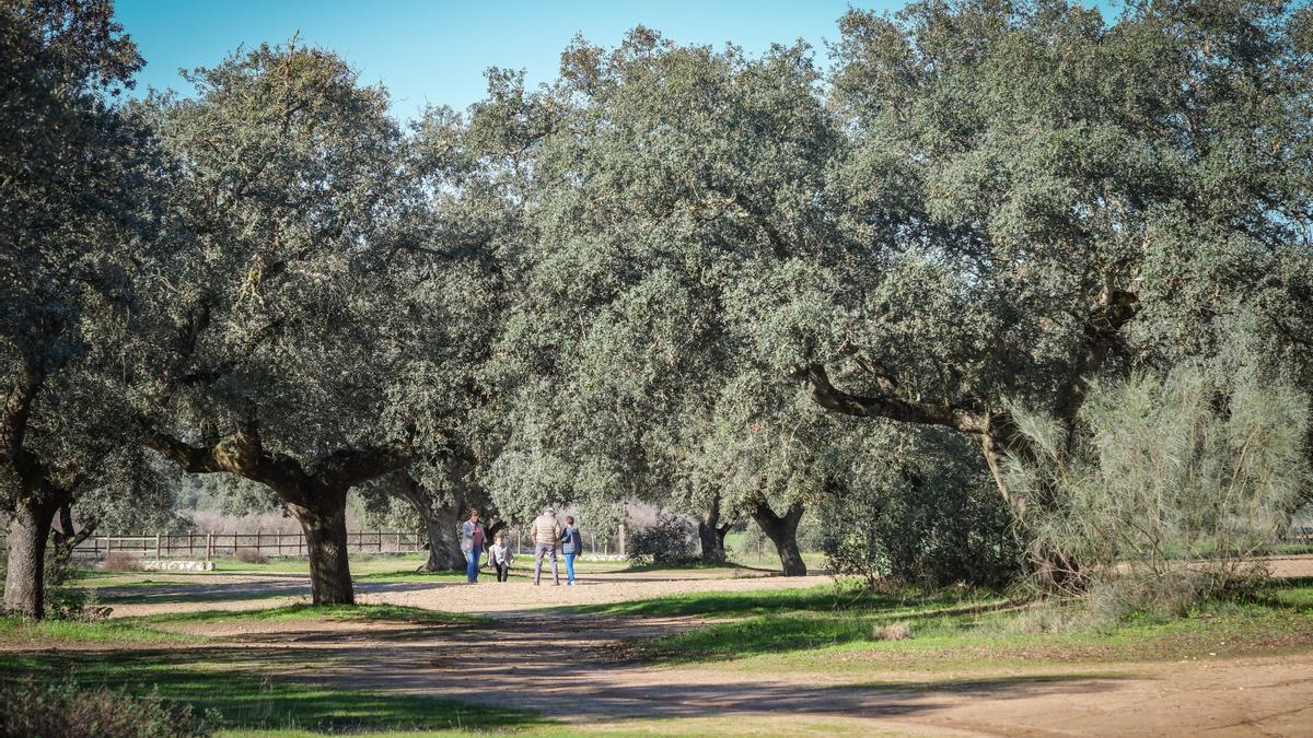 Una familia pasea por el parque de Tres Arroyos de Badajoz.