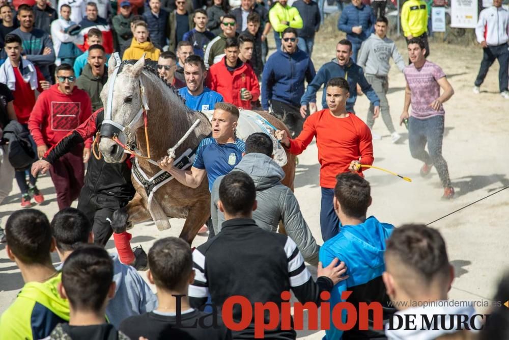 Carrera de entrenamiento de los Caballos del Vino