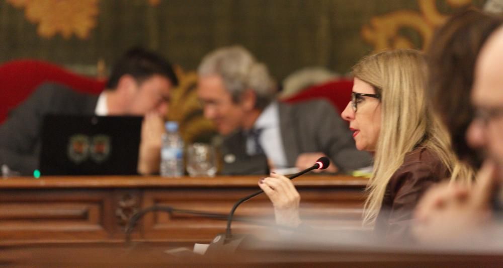 Pleno en el Ayuntamiento de Alicante