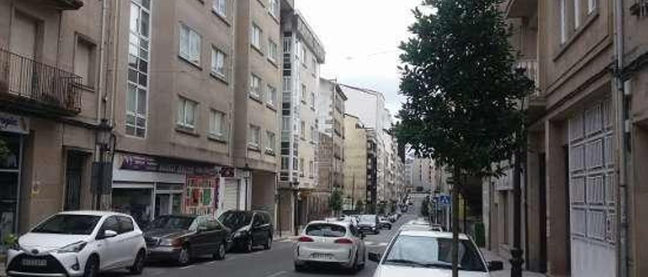 Árboles de la avenida Julio Rodríguez Soto. // L.F.