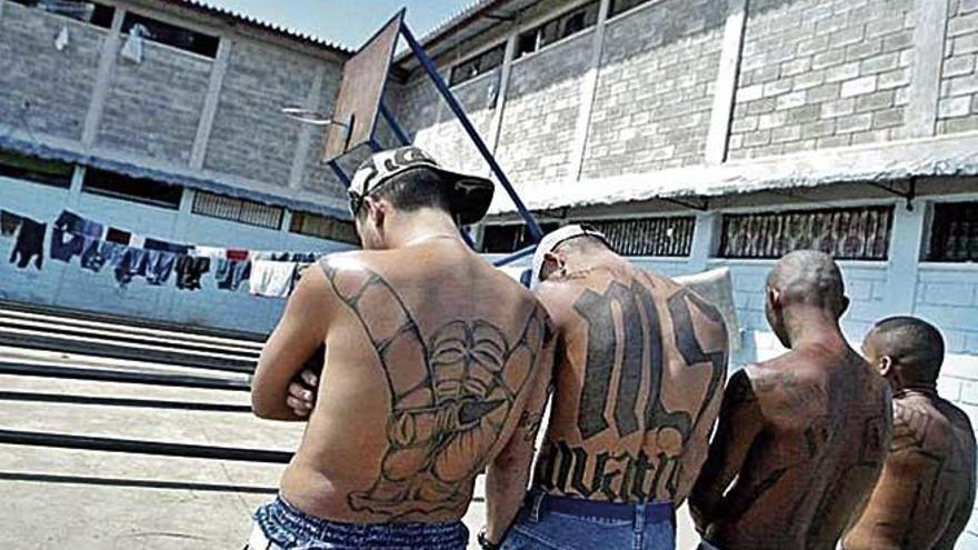 Miembros de la pandilla salvadoreÃ±a Mara Salvatrucha.