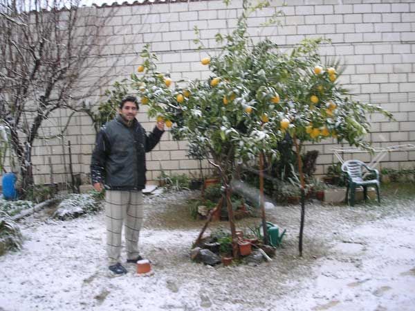 Fotos de nuestros lectores de la gran nevada