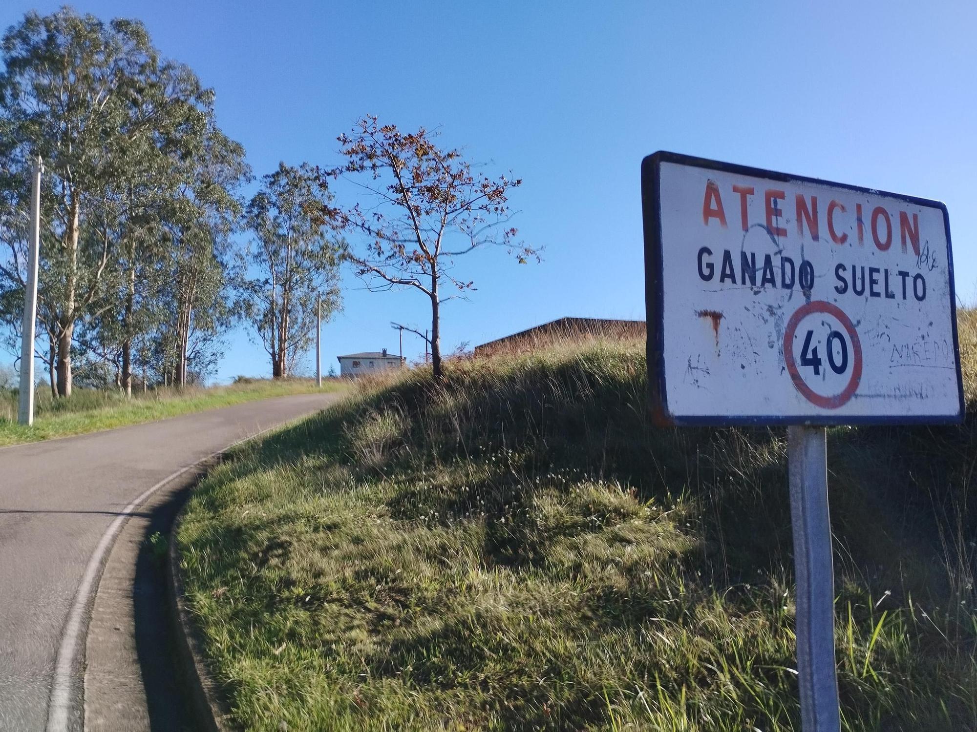 La ruta circular de Pruvia desde la urbanización de Soto de Llanera, en imágenes