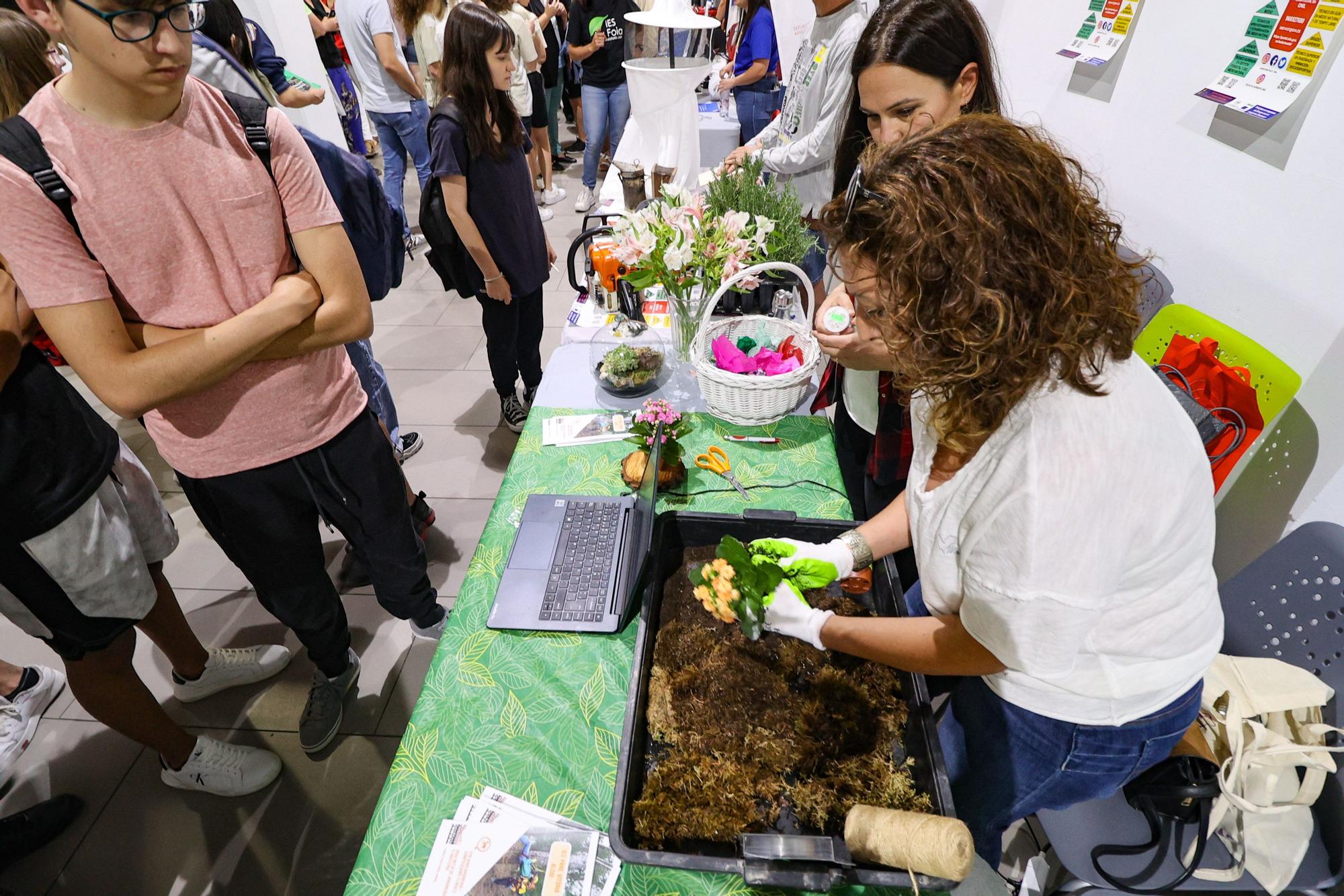 La FP en l'Alcoià y El Comtat: formación e inserción laboral rápida en el entorno