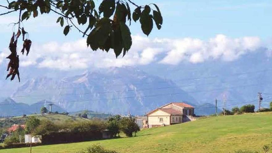 Covadonga como meta y el Aramo al fondo