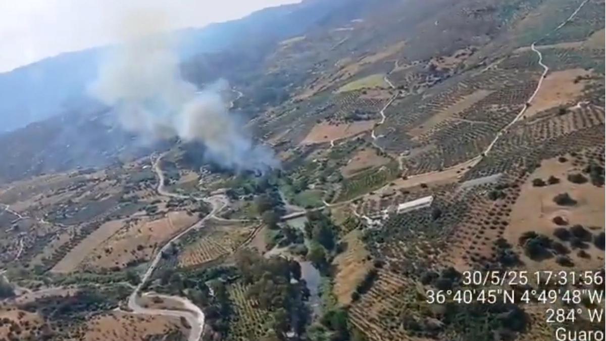 Imagen del incendio declarado en Guaro.