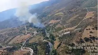 El Infoca da por controlado el incendio forestal declarado en Río Grande