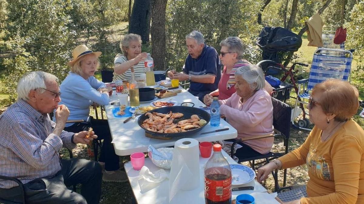 GALERÍA | Romería de Domingo de Resurrección en Venialbo
