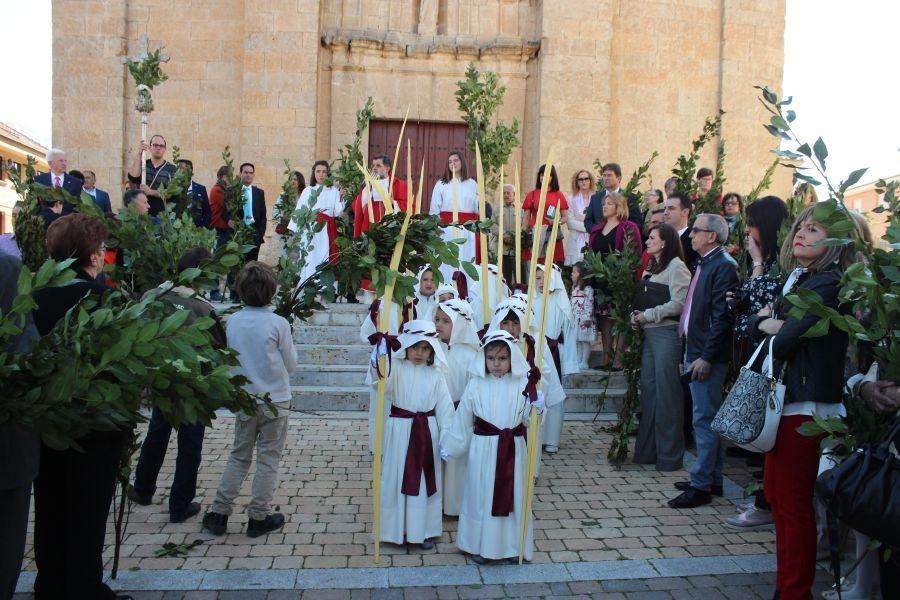 Semana Santa en Zamora: Domingo de Ramos en Fuente